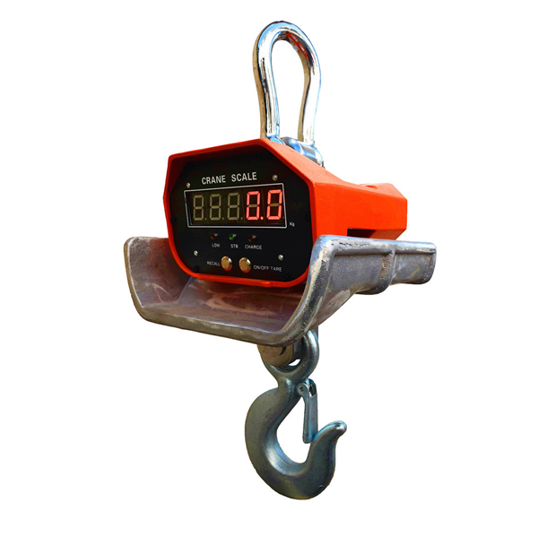 直視耐高溫電子吊稱(chēng)